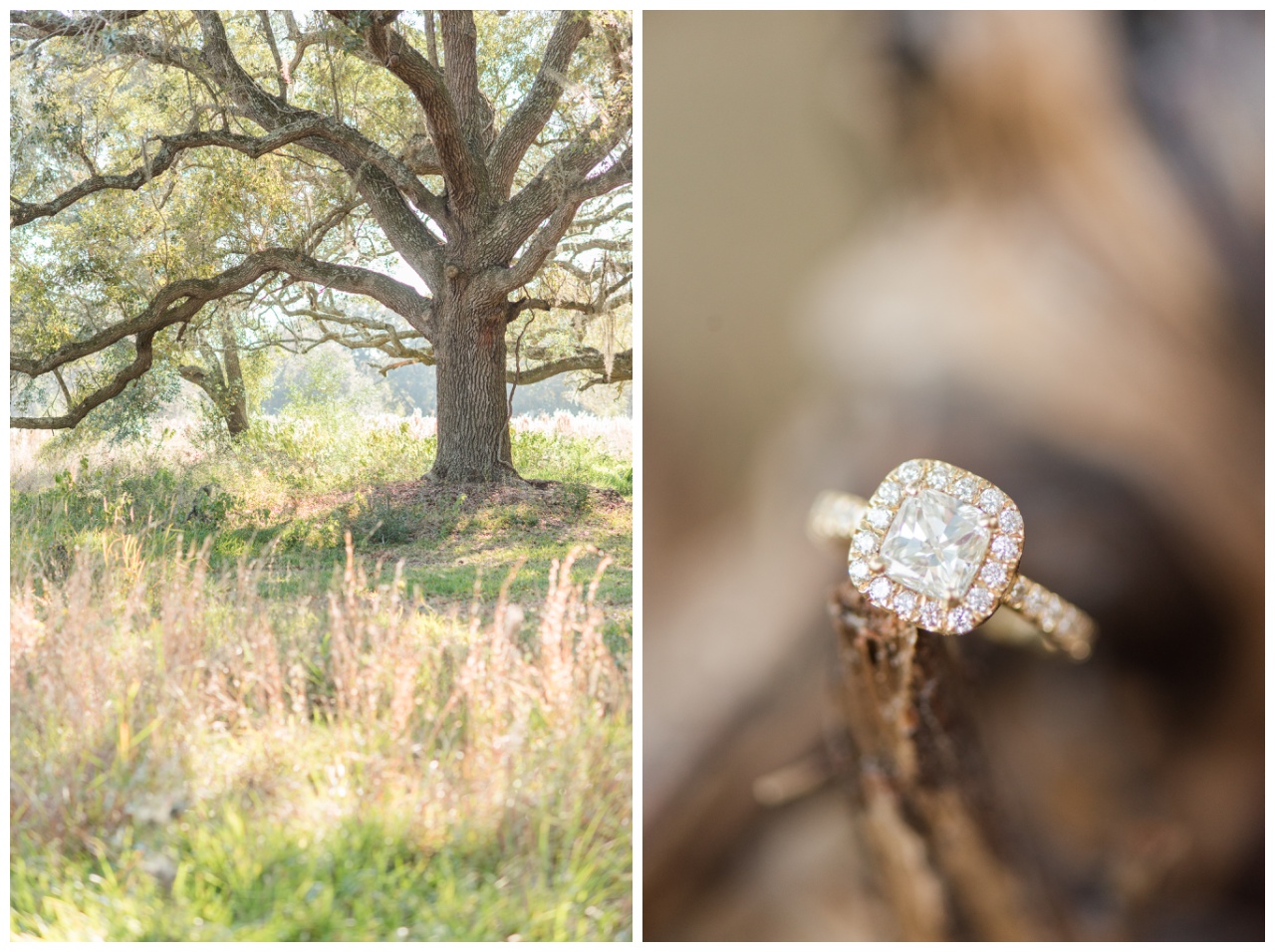 Brazos Bend State Park Engagement Session_0030