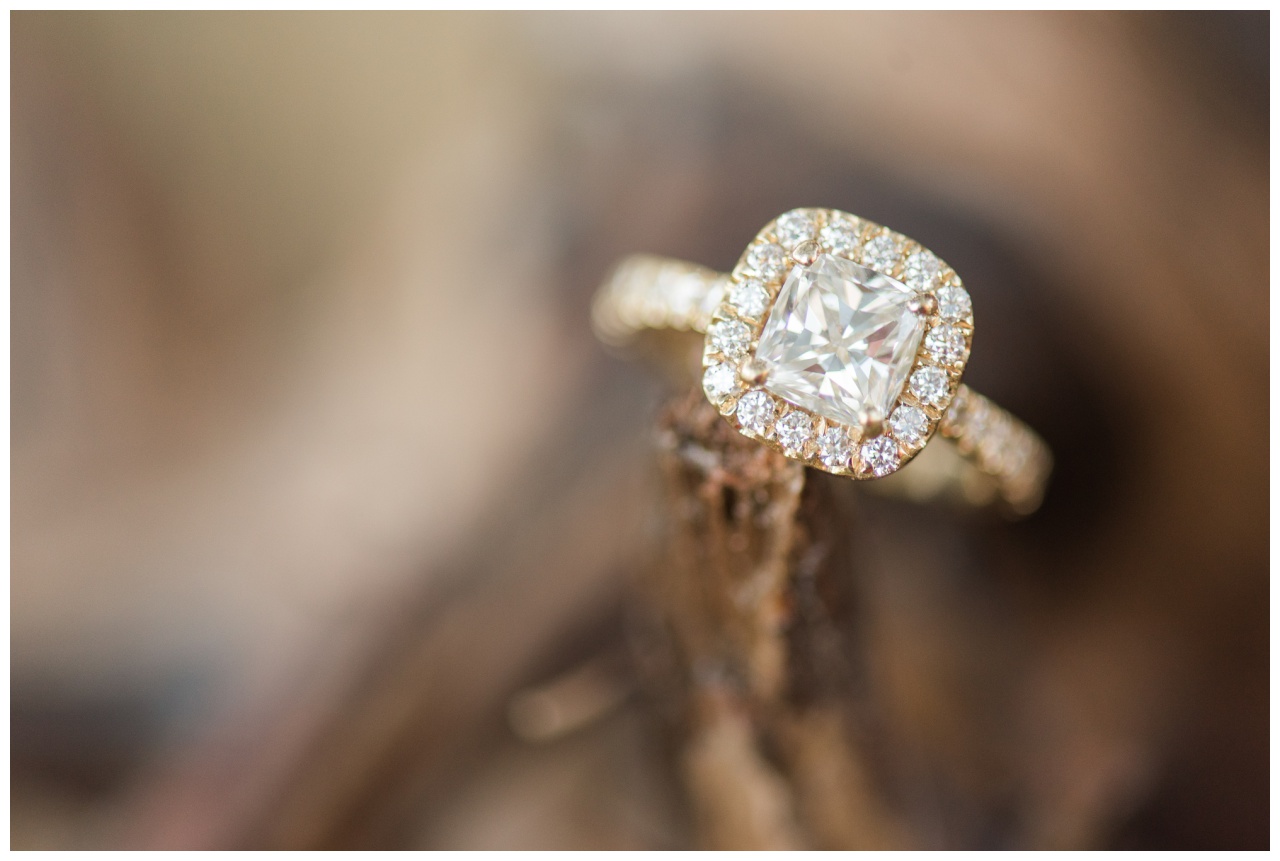 Brazos Bend State Park Engagement Session_0033