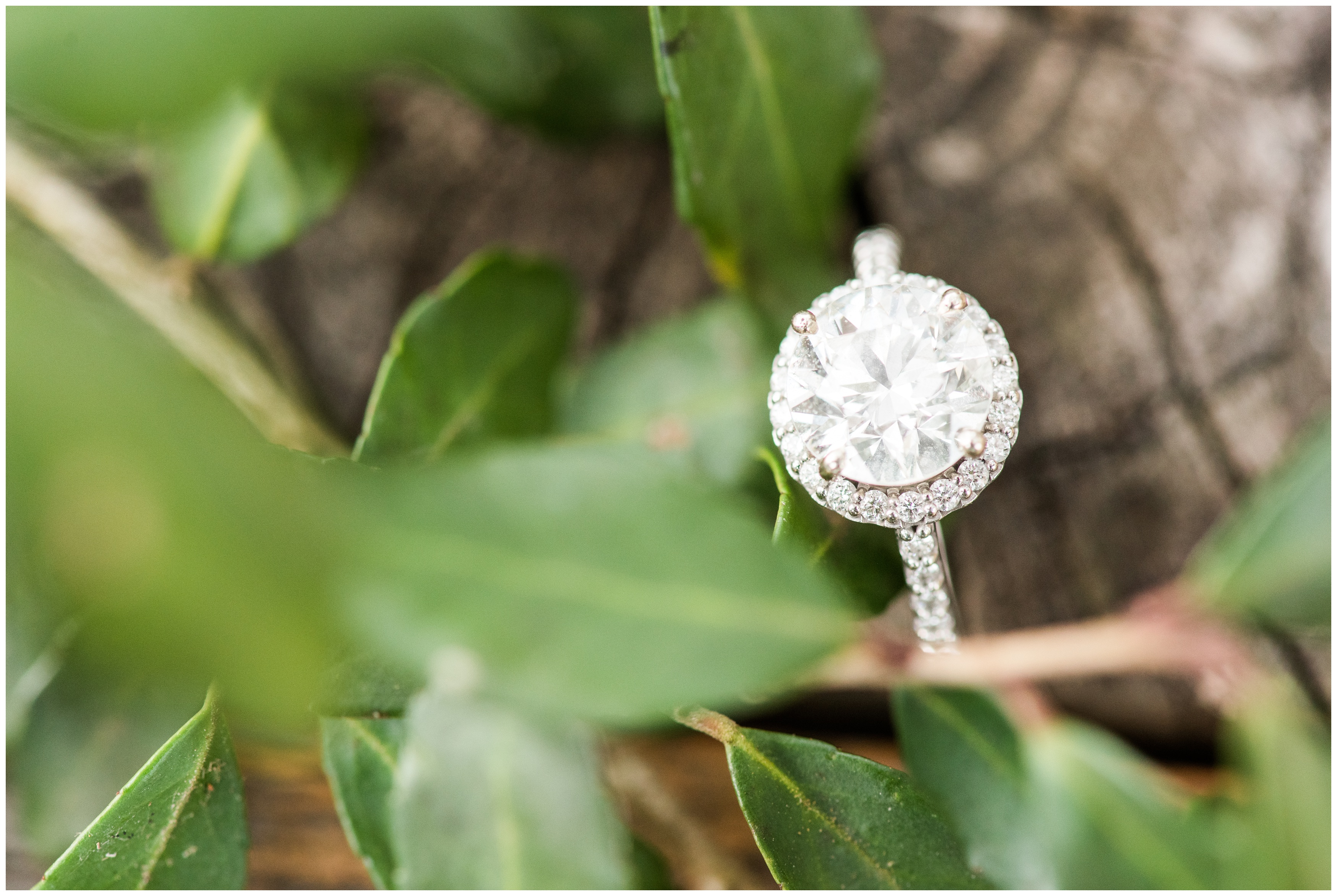 Tomball Texas Winter Engagement Session_0298