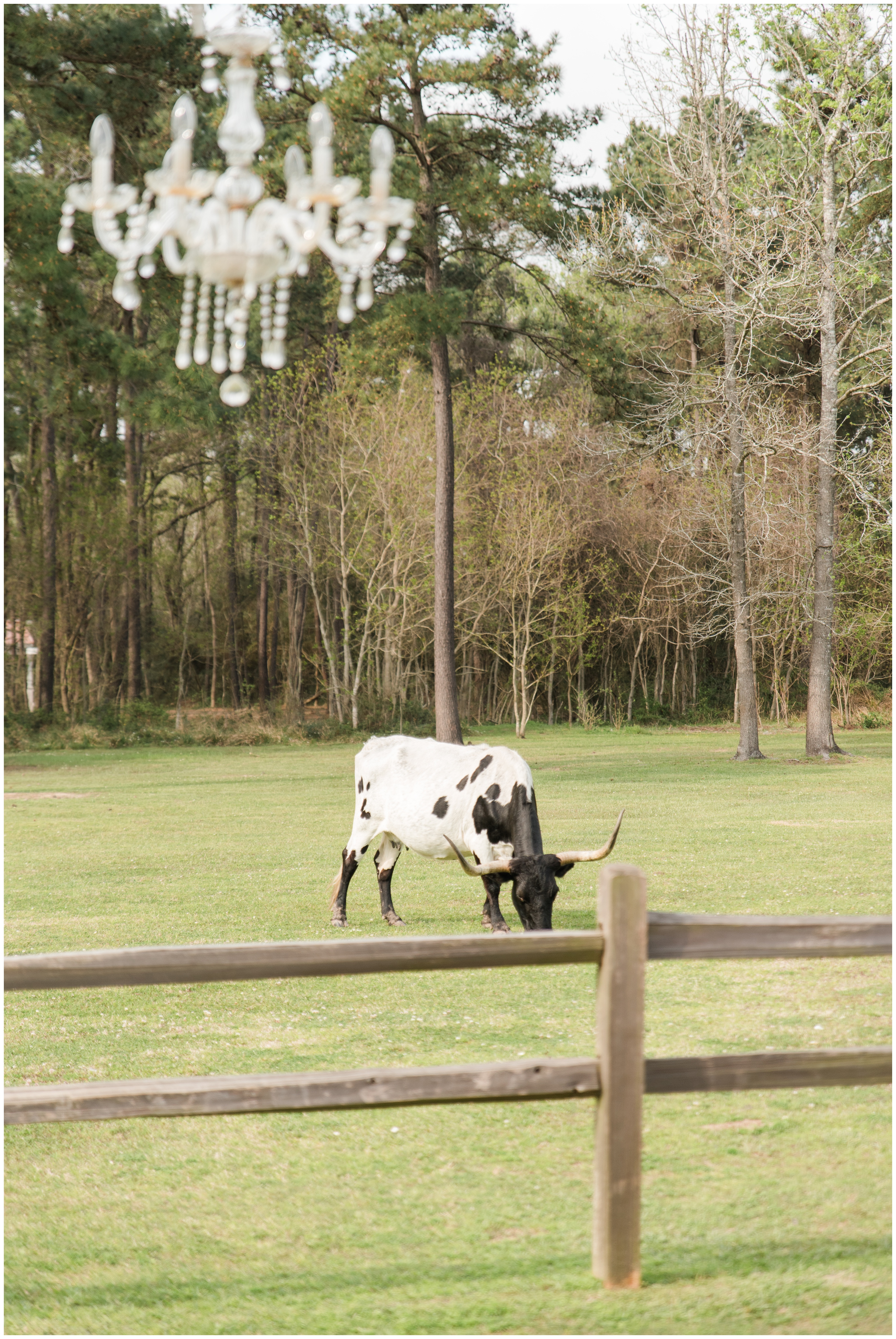 The Barn at Four Pines Wedding in Crosby TX - Kevin and Sammi_0334