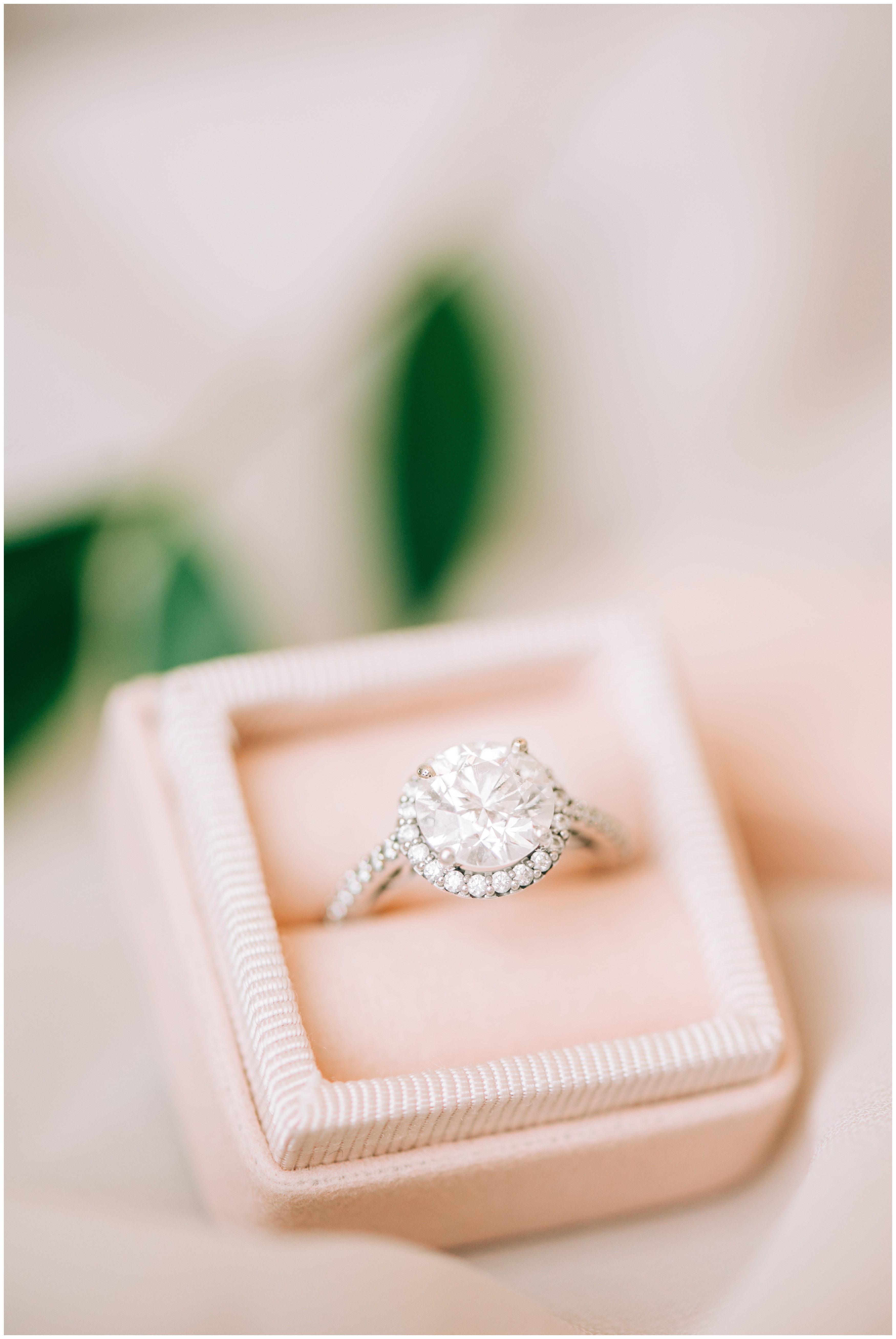 Houston Wedding Photographer