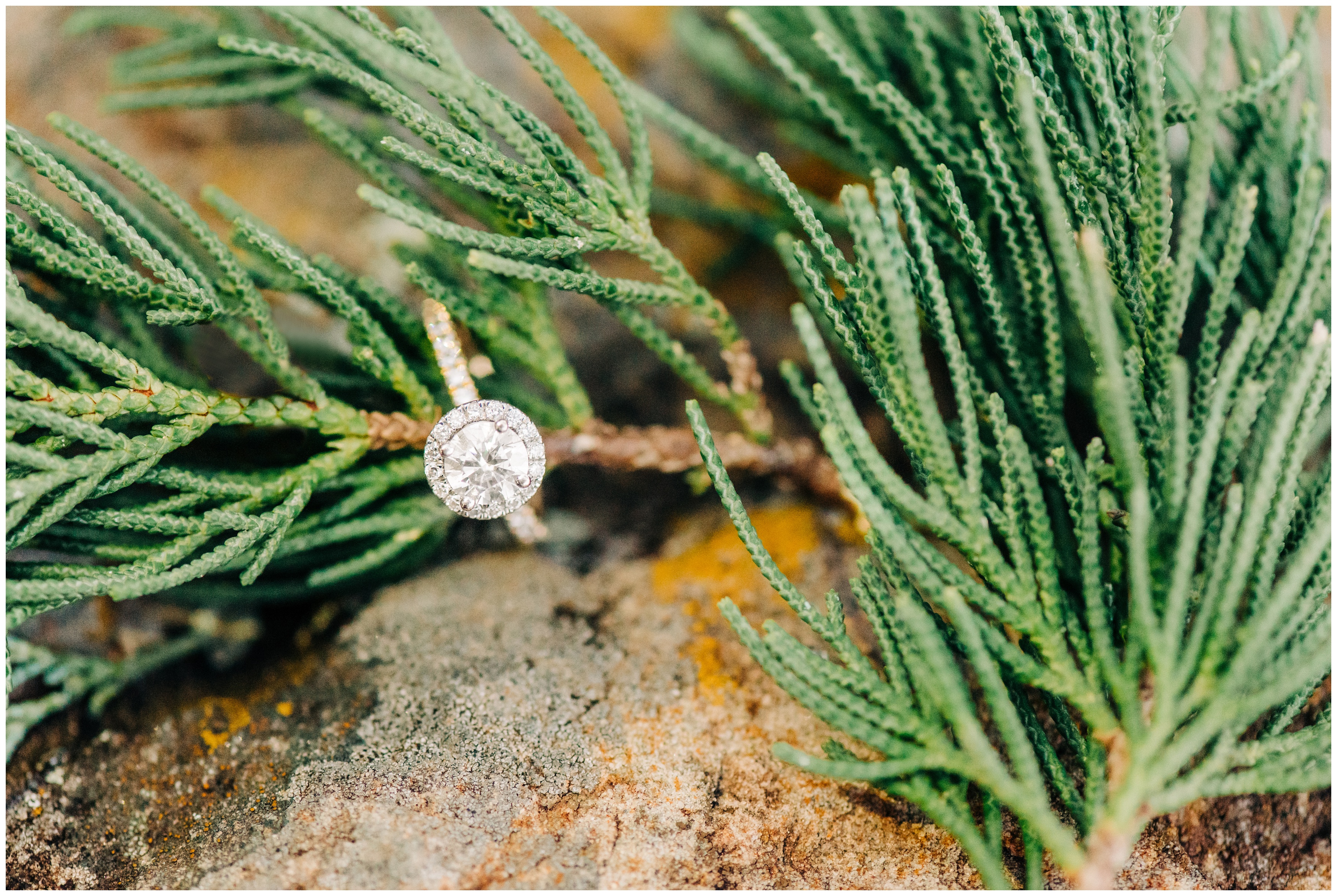 Sun_Drenched_Fall_Engagement_Session_Cypress_Texas_0134