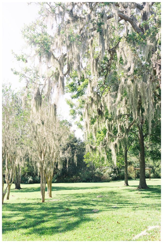 wedding-venue-texas-plantation-elegance