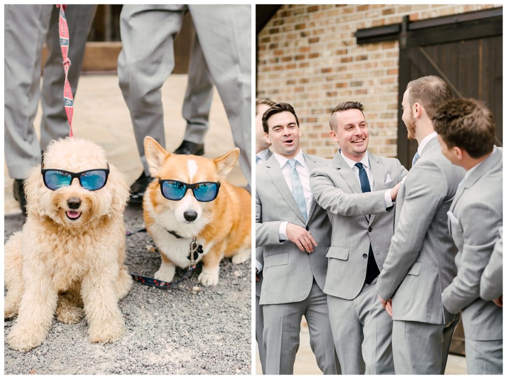 Fur Baby Approved Wedding at The Carriage House