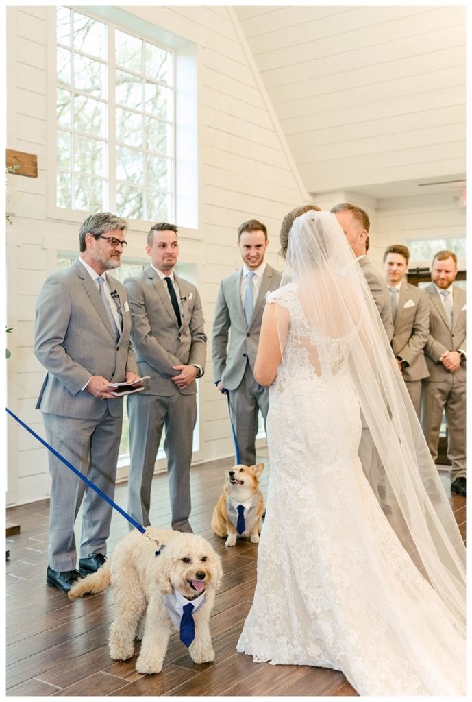 Fur Baby Approved Wedding at The Carriage House