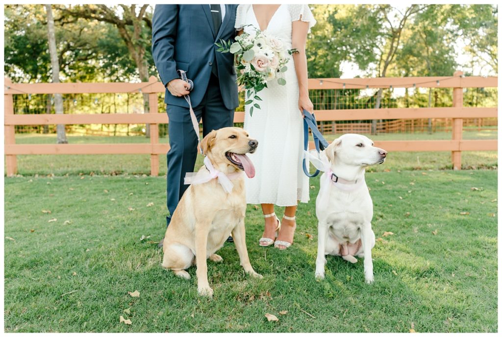 Houston Texas Backyard COVID Wedding