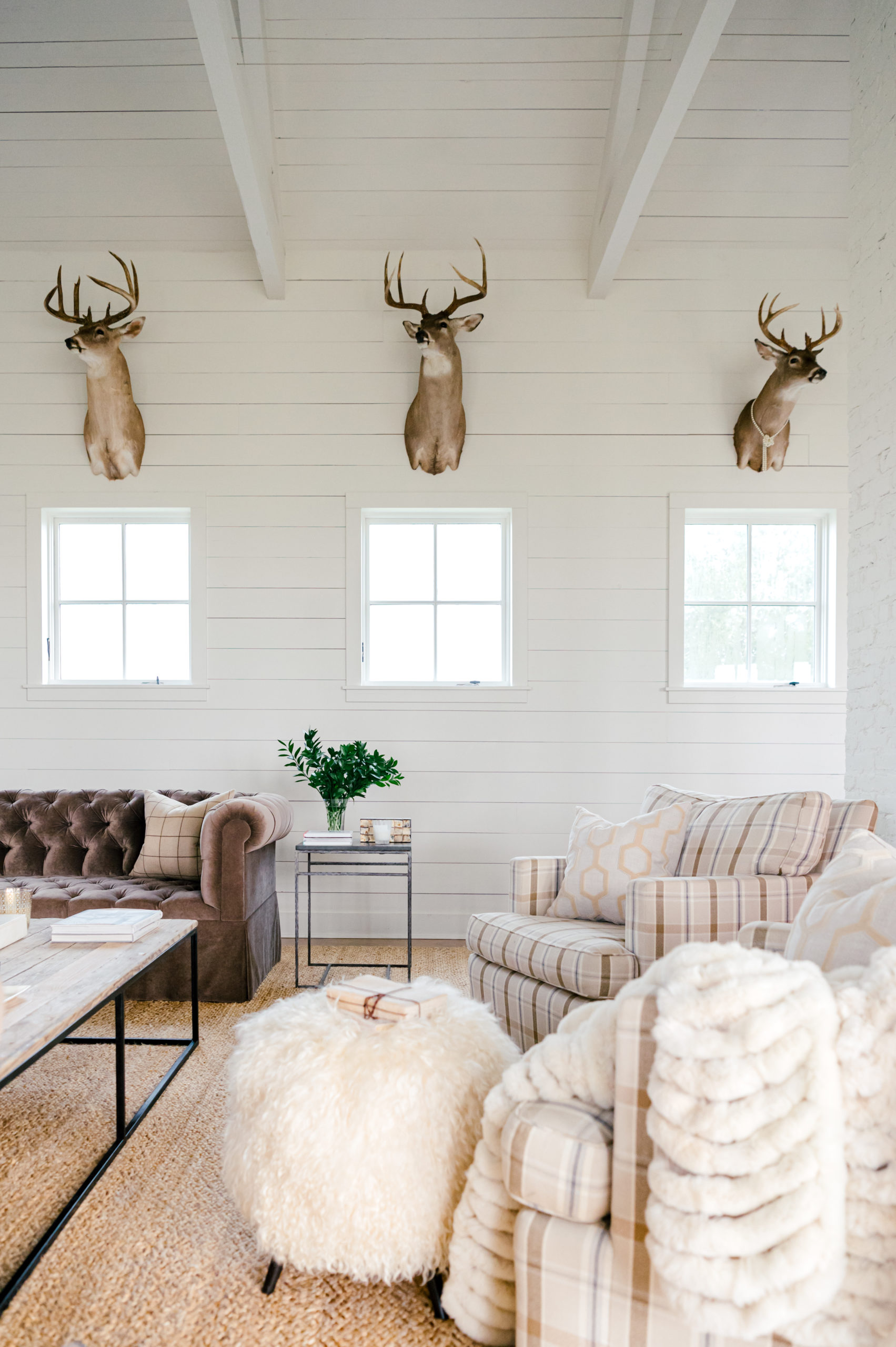 Interior Photography of living room with a striped swivel chair and brown leather couch