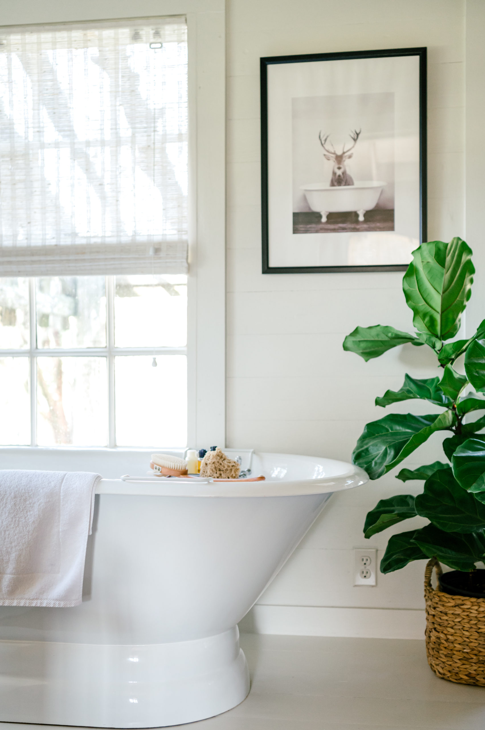 Photo of white Cast Iron Soaking Pedestal Tub and a Fiddle Leaf Fig Tree as well as a black picture frame with a picture of a deer in a bathtub