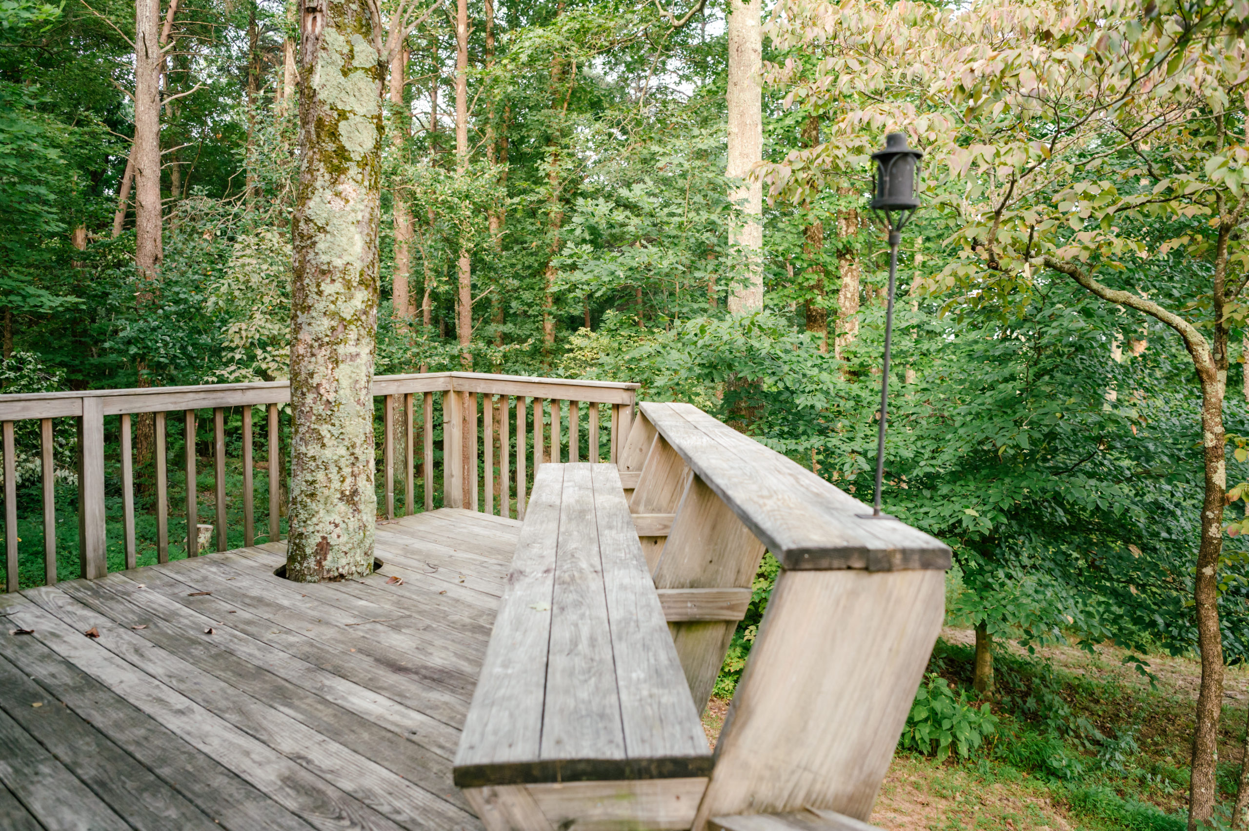 Photo of wood cabin's porch with a wooden bench surrounded by beautiful trees and greenery