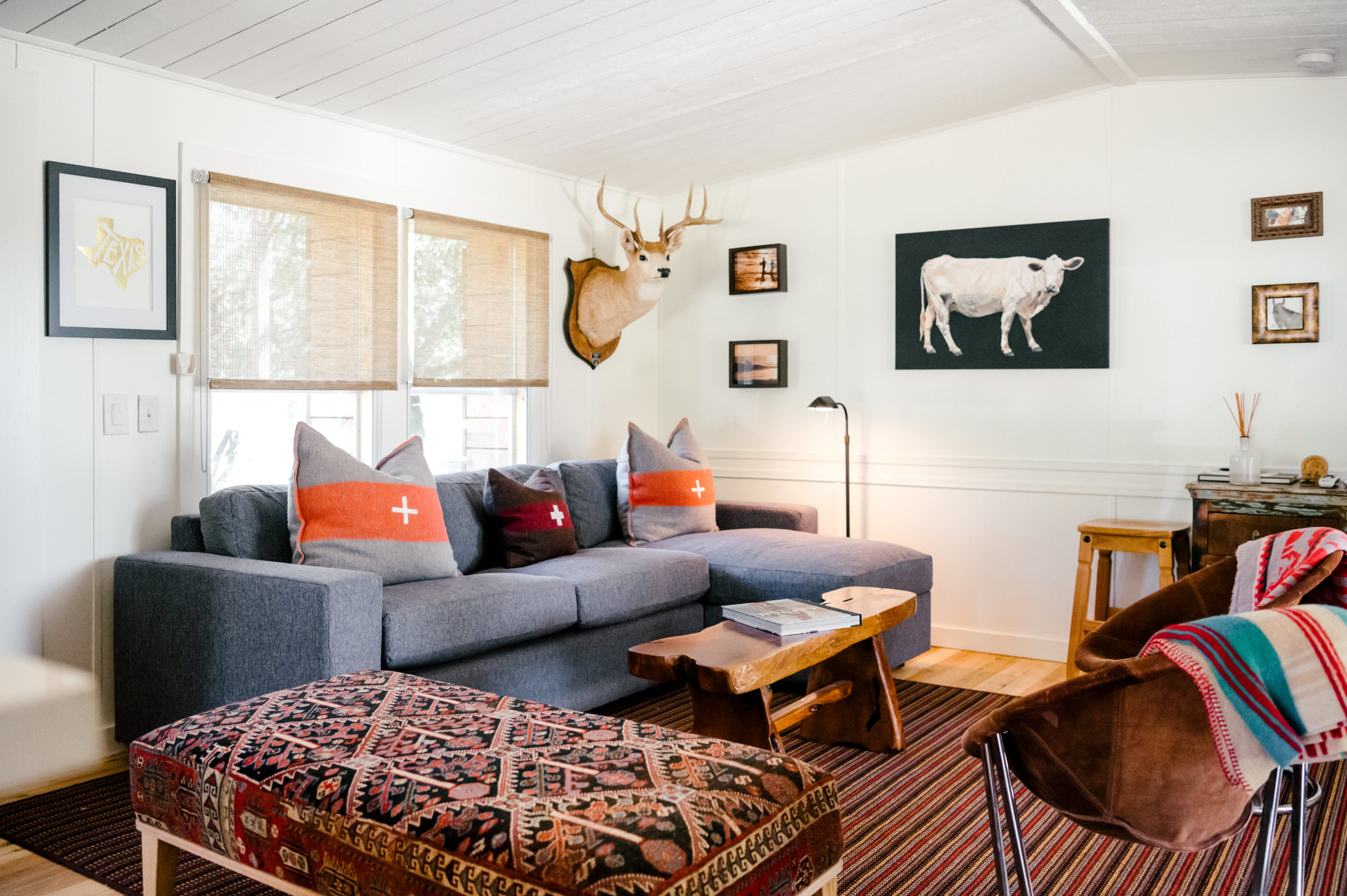 Living room interior furniture, grey couch, wooden coffee table and brown velvet love seat 