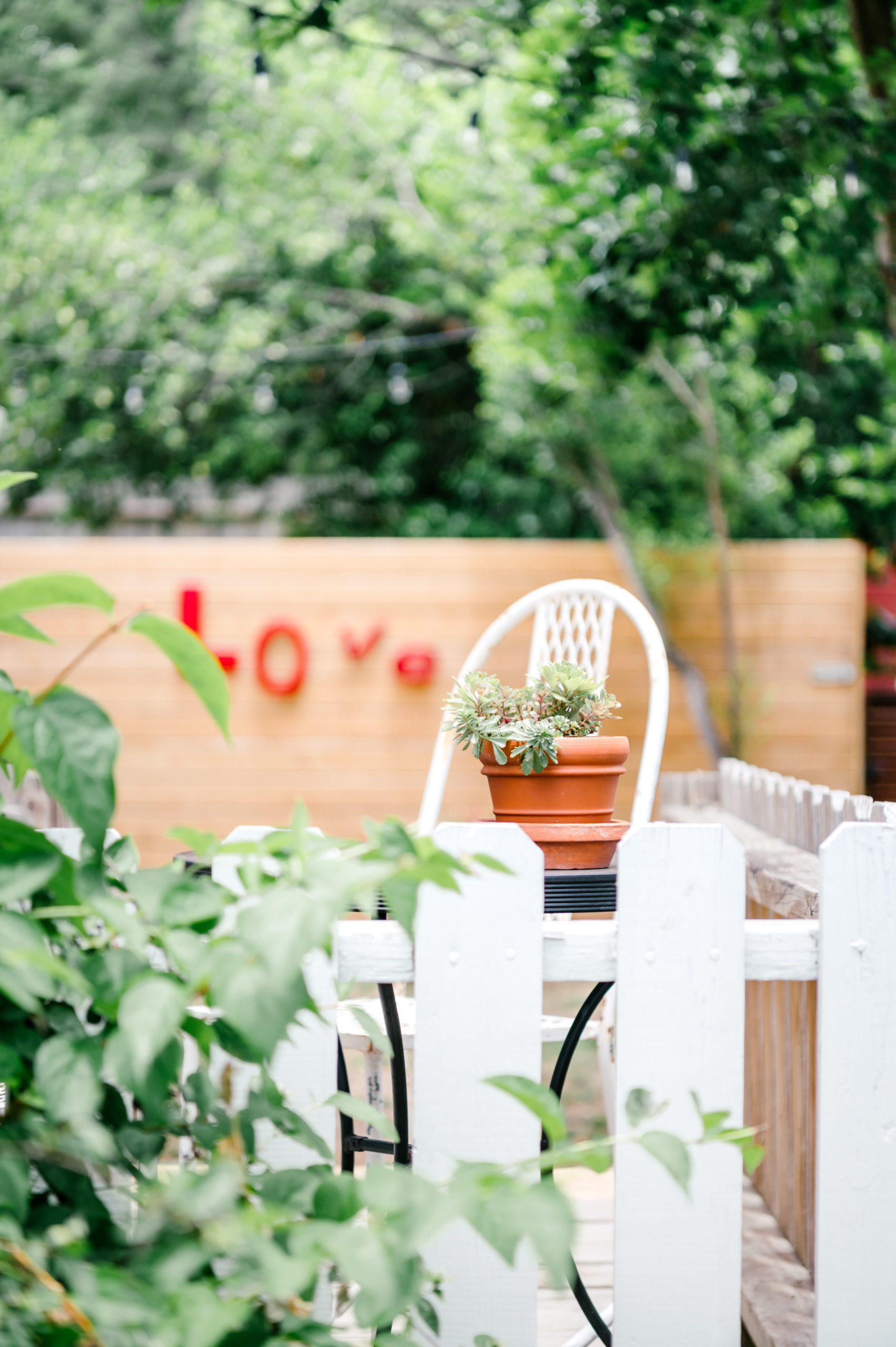 White picket fence and plant in a backyard 