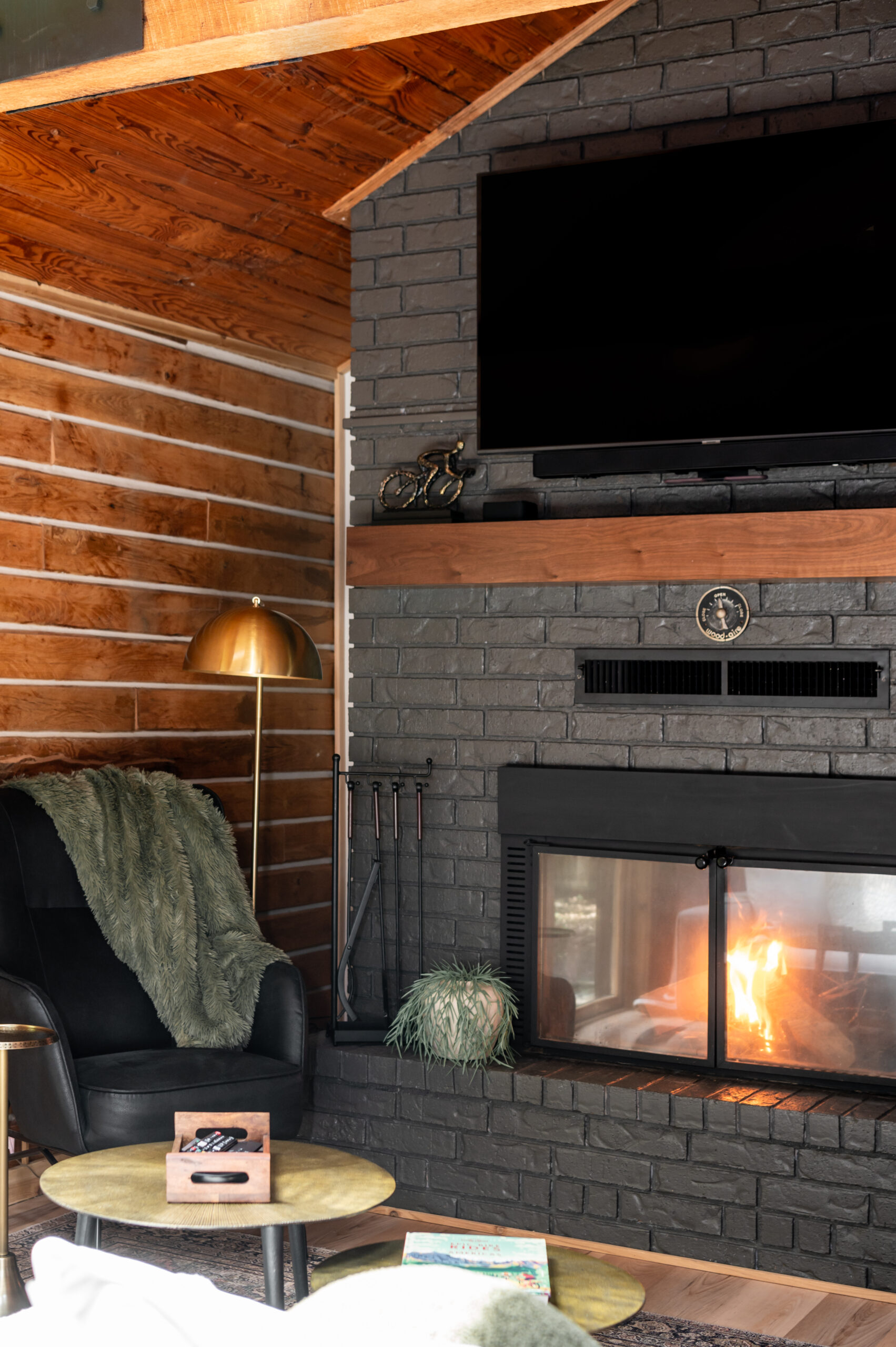 A mid-century modern oasis, Rustic log cabins Interior Design Photoshoot