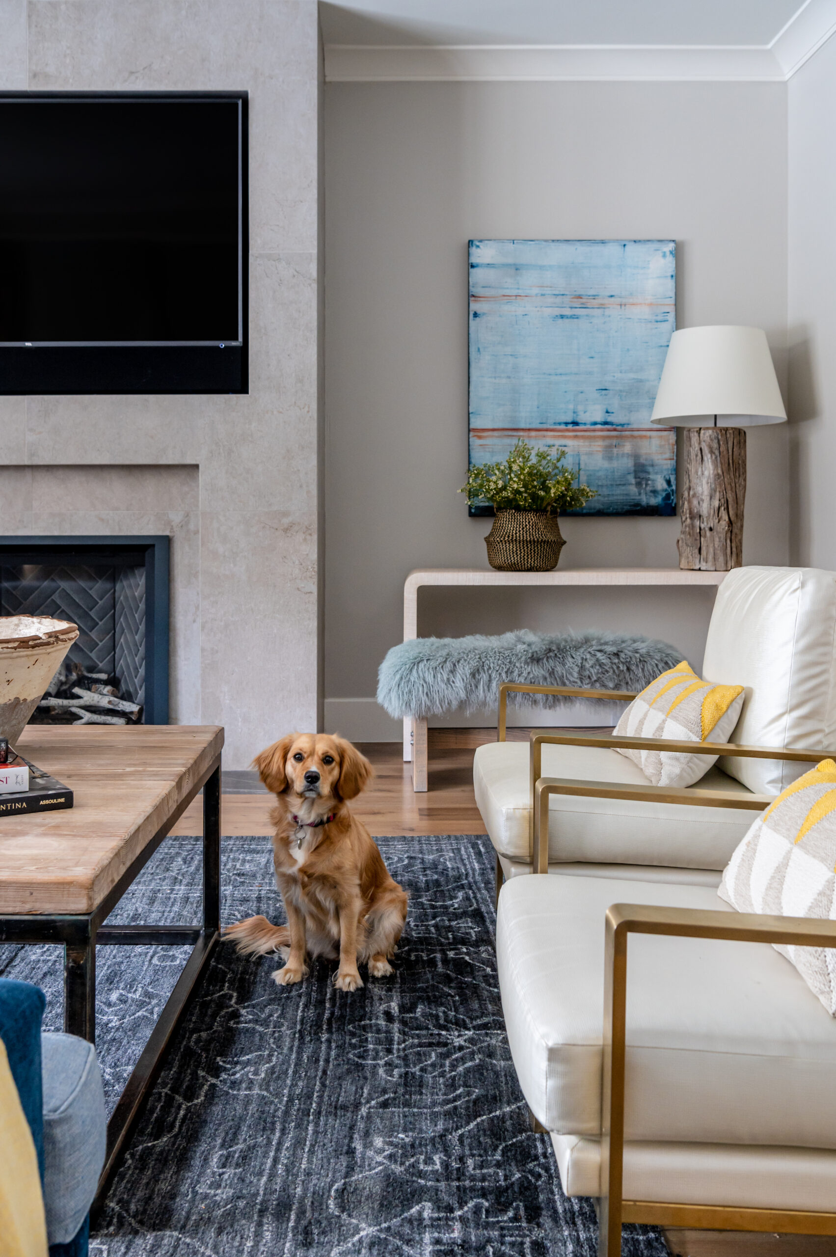 Living room interior design with puppy