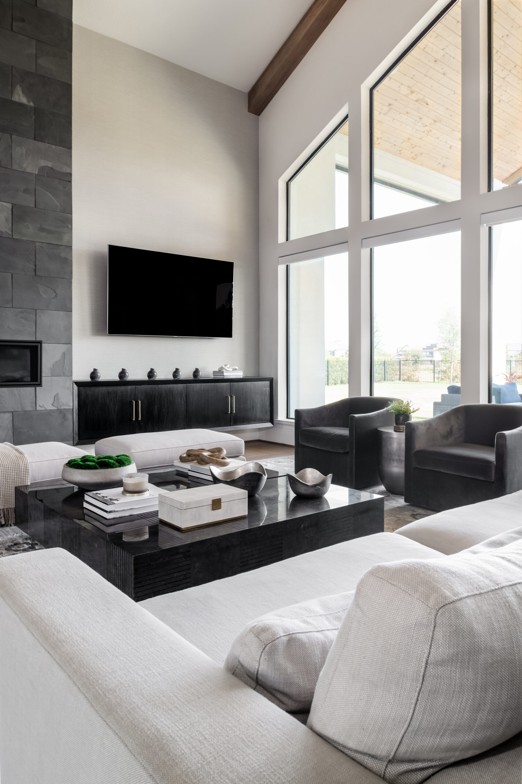 Modern interior design photos of living room with black and white furniture