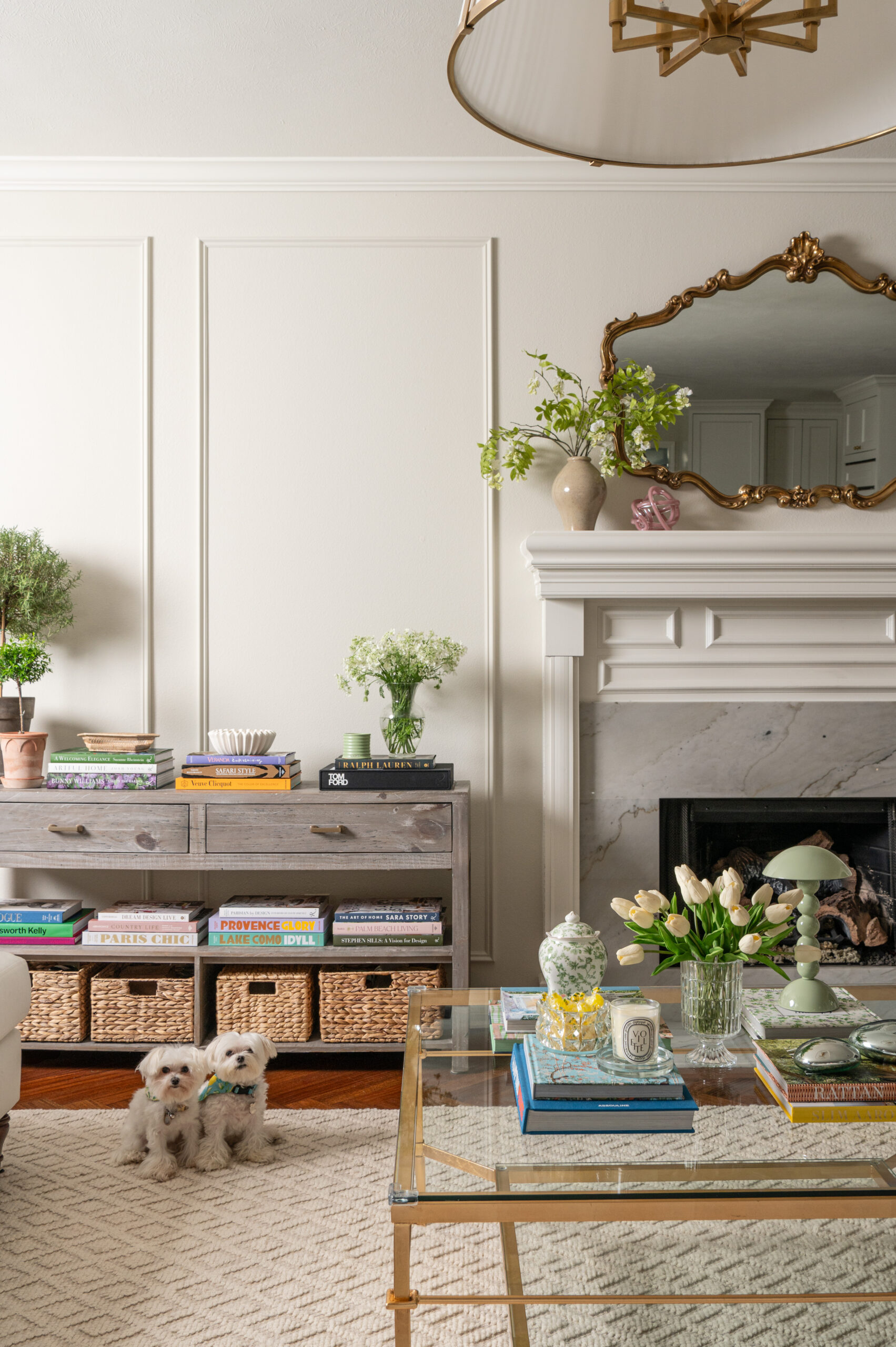 Two fluffy white pups sitting in a light-filled living room with layered bookshelves, fresh florals, and a marble fireplace.